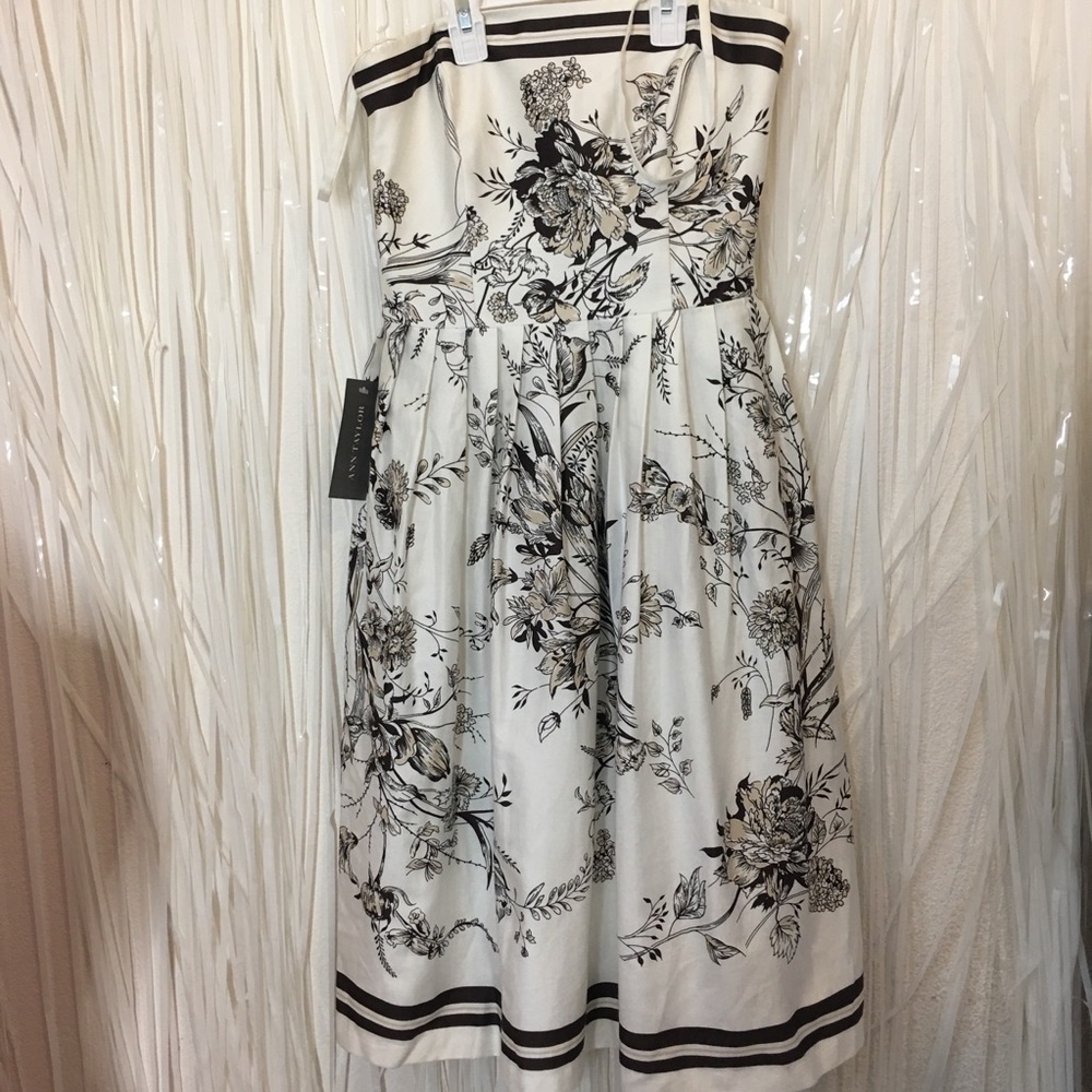 Ann Taylor NWT detachable strap sundress women’s 2
